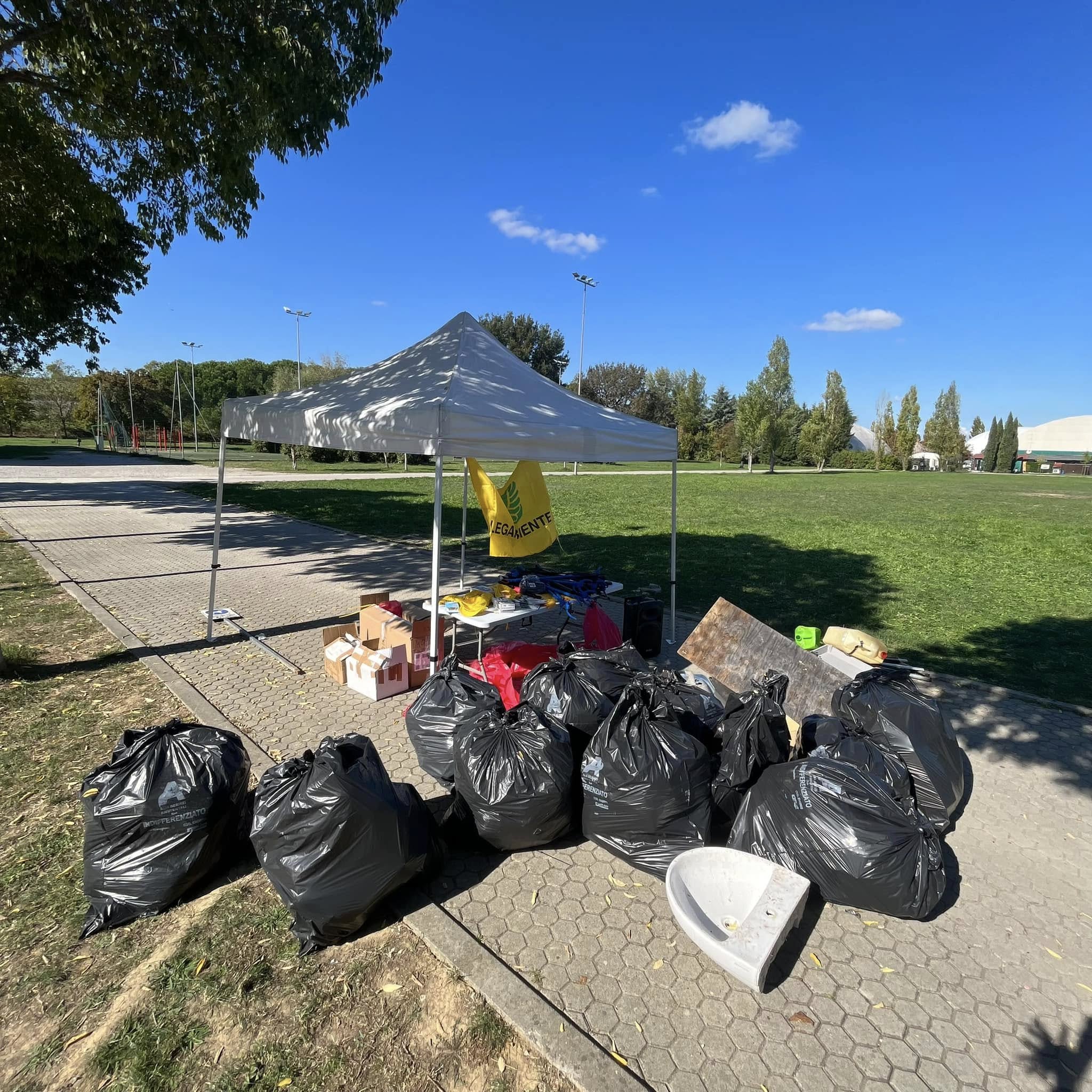 alcune immagini della raccolta a Castelfiorentino