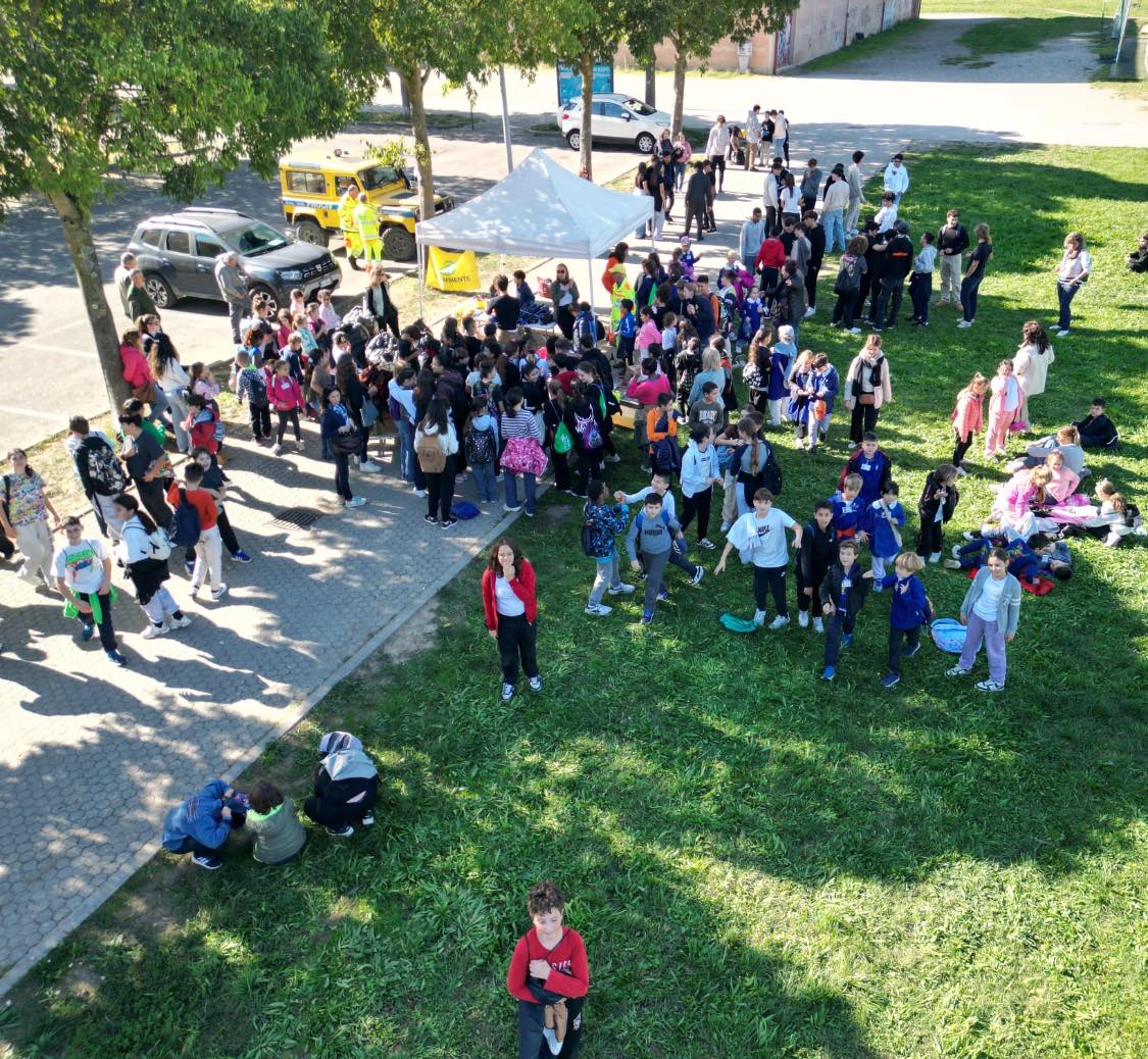 alcune immagini della raccolta a Castelfiorentino