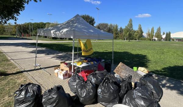alcune immagini della raccolta a Castelfiorentino