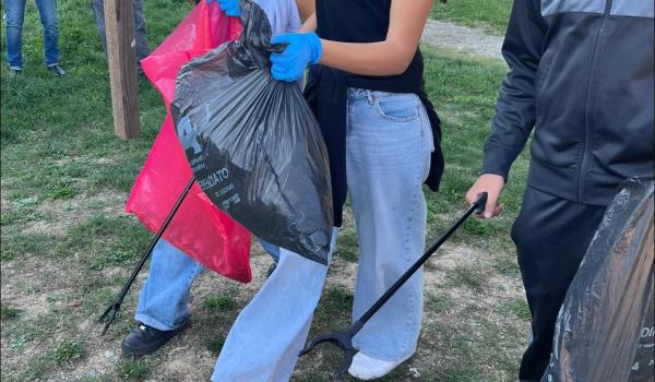 alcune immagini della raccolta a Castelfiorentino