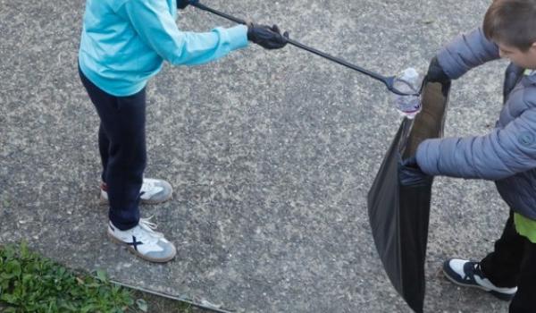 alcune immagini della raccolta a Castelfiorentino